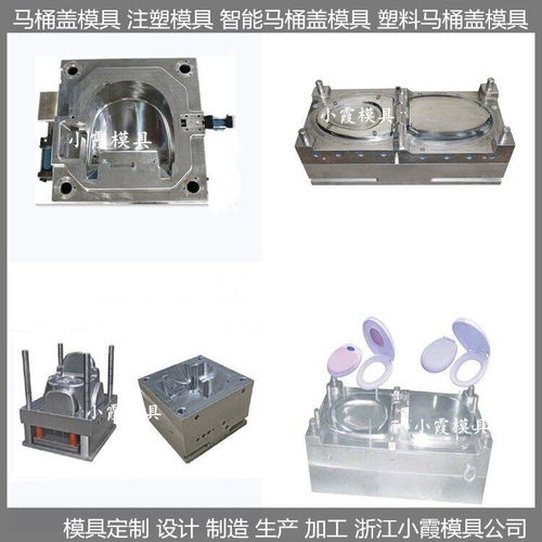 中國模具生產 智能塑料馬桶蓋模具圖