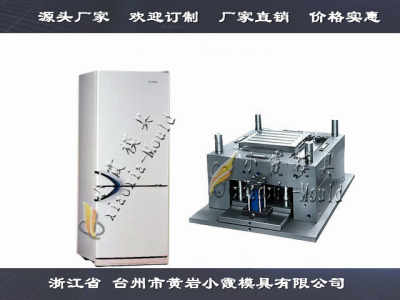 中國注塑模具公司冰柜模具精品高端模具